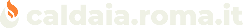 logo new wt caldaia roma